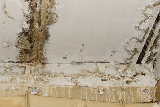 Mold Removal for HVAC Installations in Dublin, OH