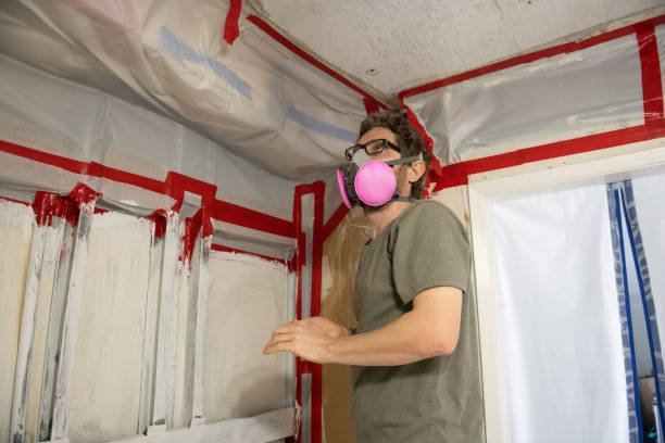 Environmental Consulting for Mold Prevention