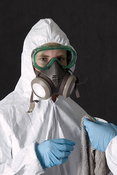 Mold Odor Removal Services in Dublin, OH